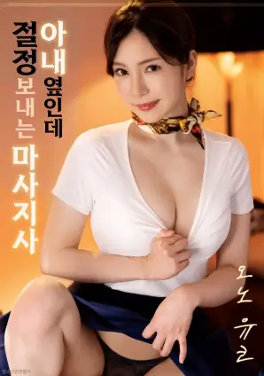 国产番剧出海数据